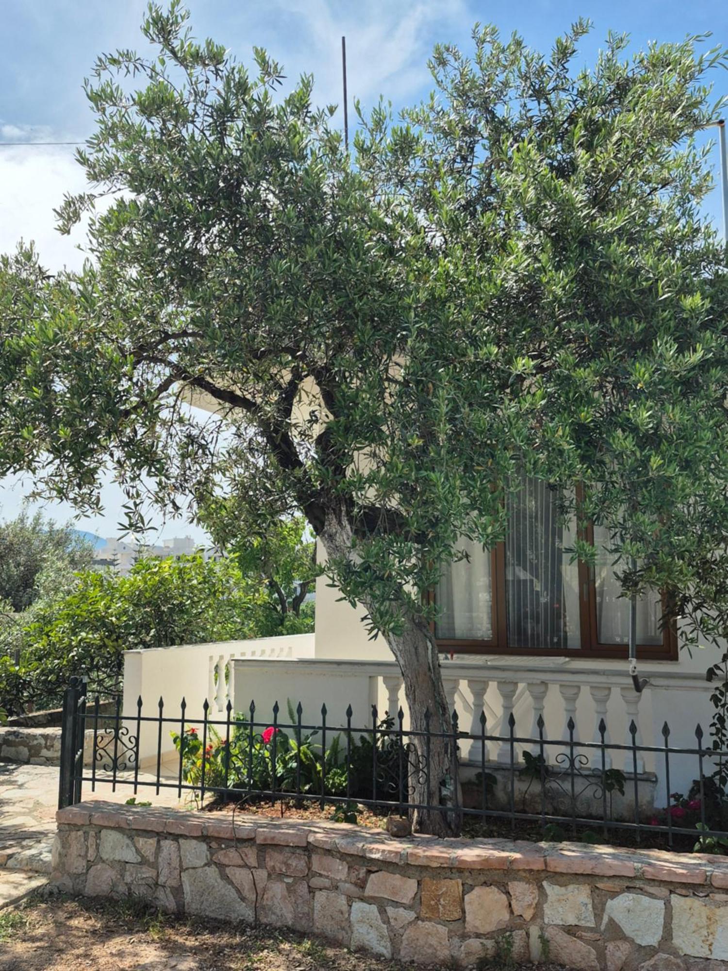 Vita Apartment - Spacious Garden And Balcony 5 Min To Beach & Center Ksamil Exterior photo